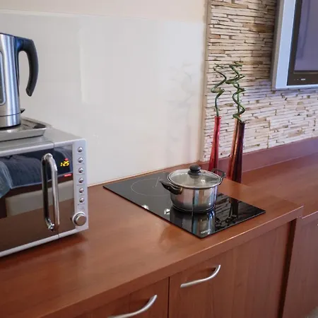 Przy Kosciuszki Apartment *